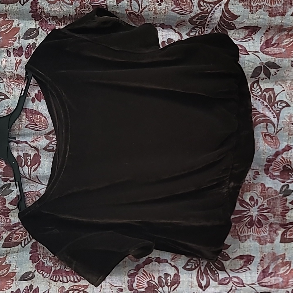 NWT Free People Brown Velour Top, size M.